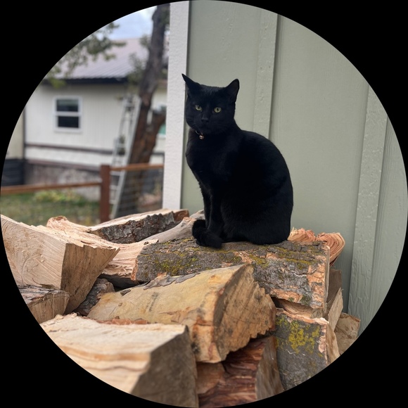 blackcatclosett